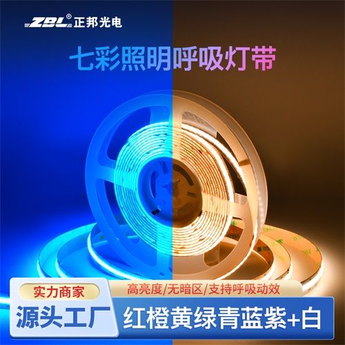 COB RGBCW (3000K+6000K) 五合一840燈每米氛圍照明兩用DC24V