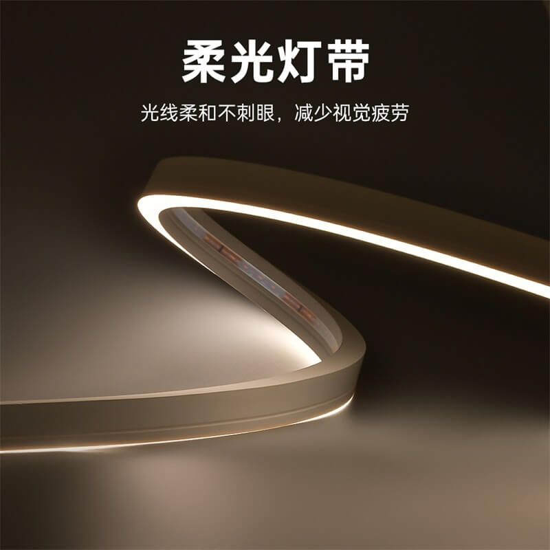 IP68防水燈帶泳池戶外專屬一體注塑成型工藝低壓霓虹燈帶20x12 側發(fā)光 - 3