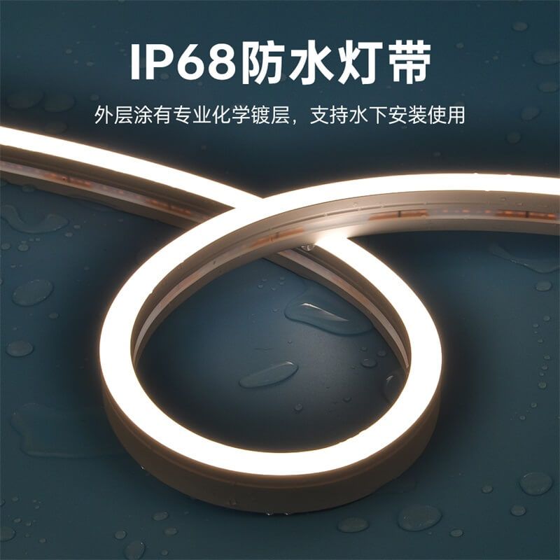 IP68防水燈帶泳池戶外專屬一體注塑成型工藝低壓霓虹燈帶20x12 側發(fā)光 - 5