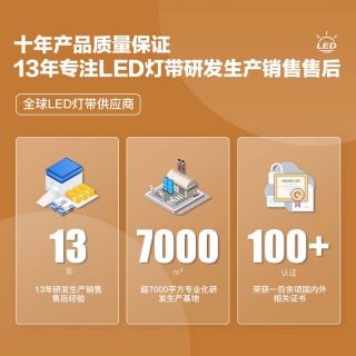 16x16洗墻燈48燈/米｜IP68防水DC24V高亮工程裝飾燈帶 - 6