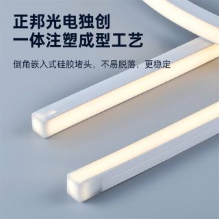 IP68防水泳池LED燈帶｜15x16低壓正發(fā)光｜一體注塑耐用燈帶廠家直供