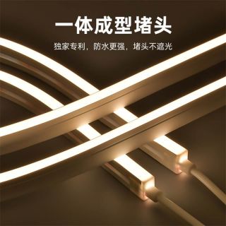 IP68防水燈帶泳池戶外專屬一體注塑成型工藝低壓霓虹燈帶20x12 側發(fā)光 - 4