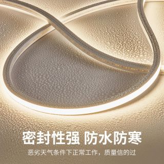 2020硅膠燈帶大發光面低壓工程燈帶 - 3